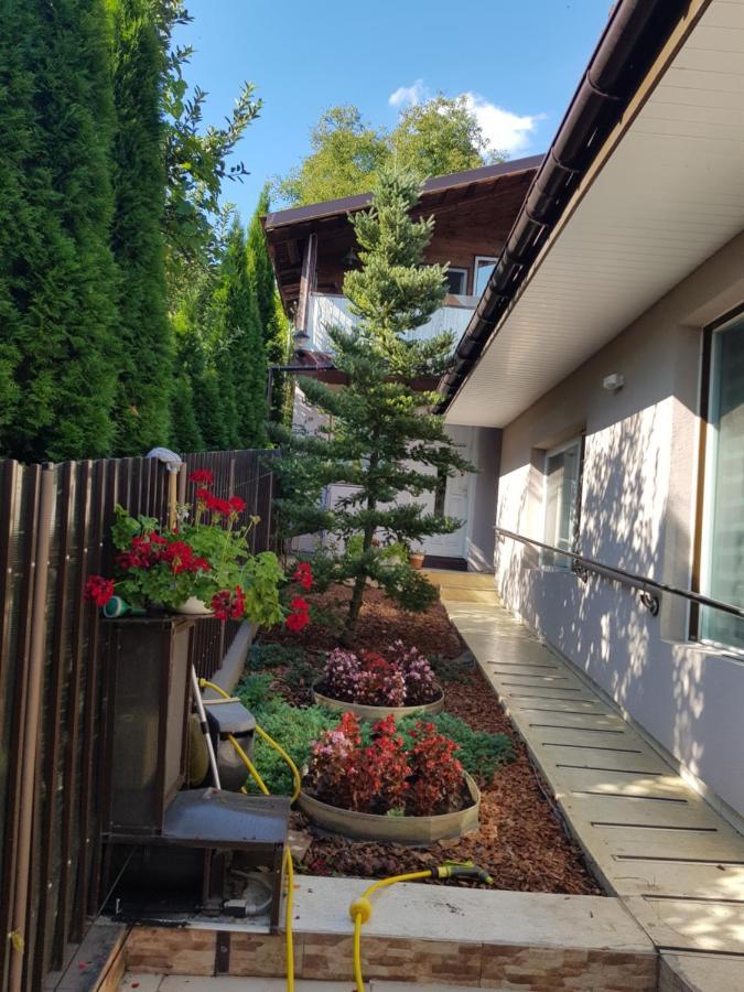 Casa Negoiu Apartment Târgu-Mureş Екстериор снимка